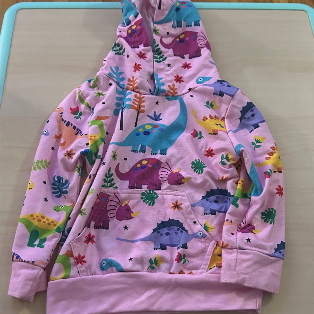 Colorful Dinosaur Hoodie